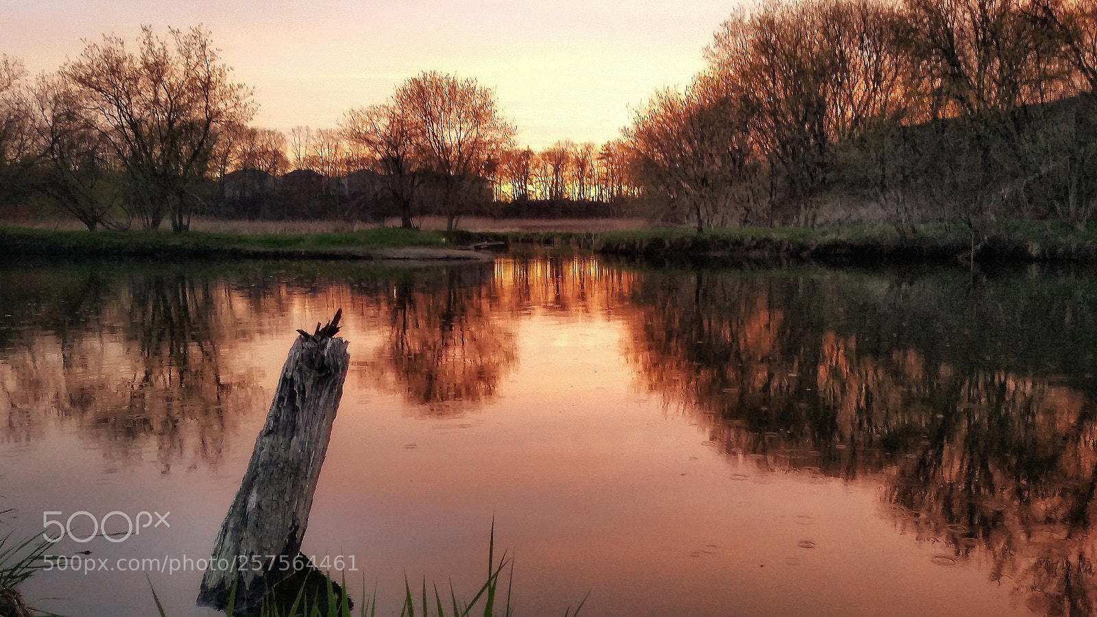 Samsung Galaxy S5 sample photo. Scarborough river photography