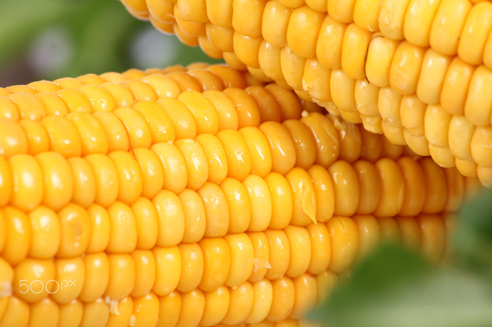 Canon EF-S 55-250mm F4-5.6 IS sample photo. Egyptian yellow gold corn photography