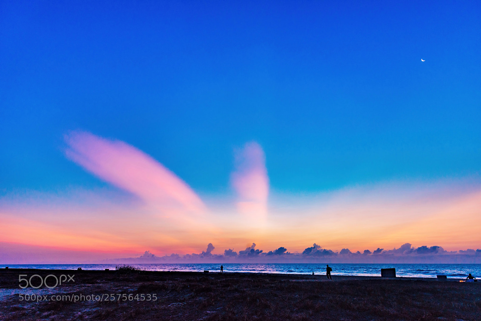 Nikon D610 sample photo. Pre sunrise blue hour photography
