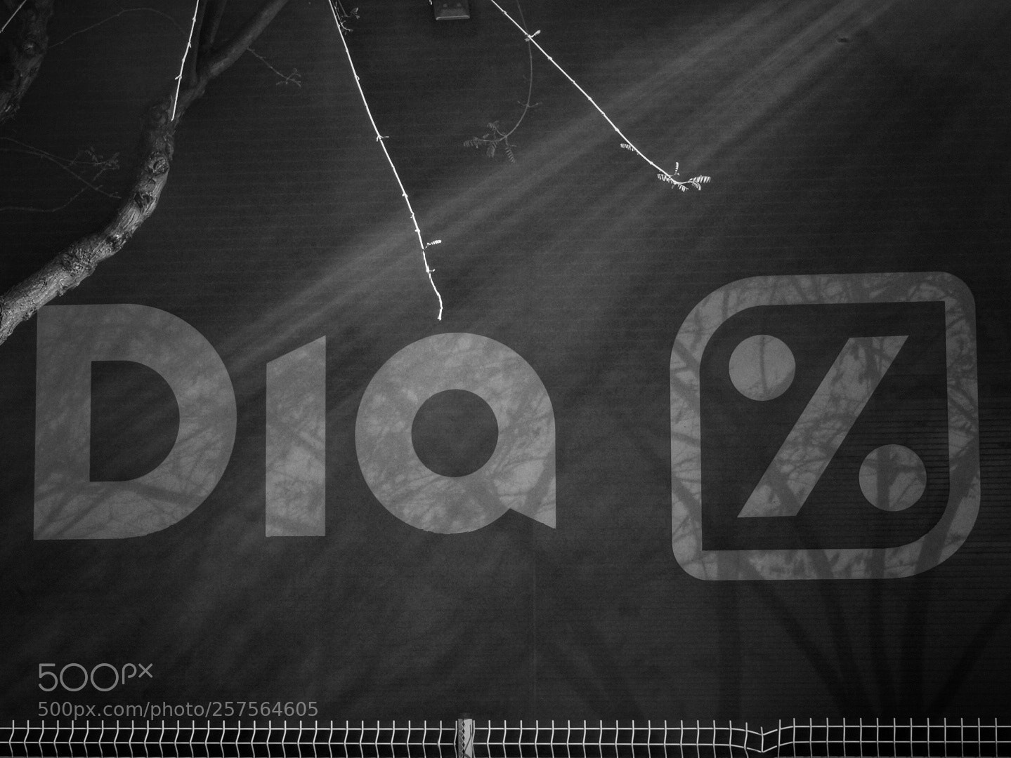 Sony Alpha NEX-6 sample photo. Luz photography