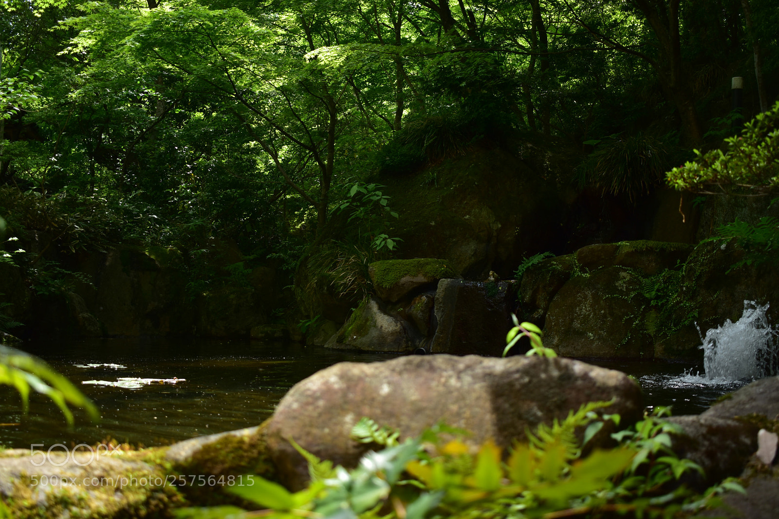 Nikon D5600 sample photo. Heaven photography