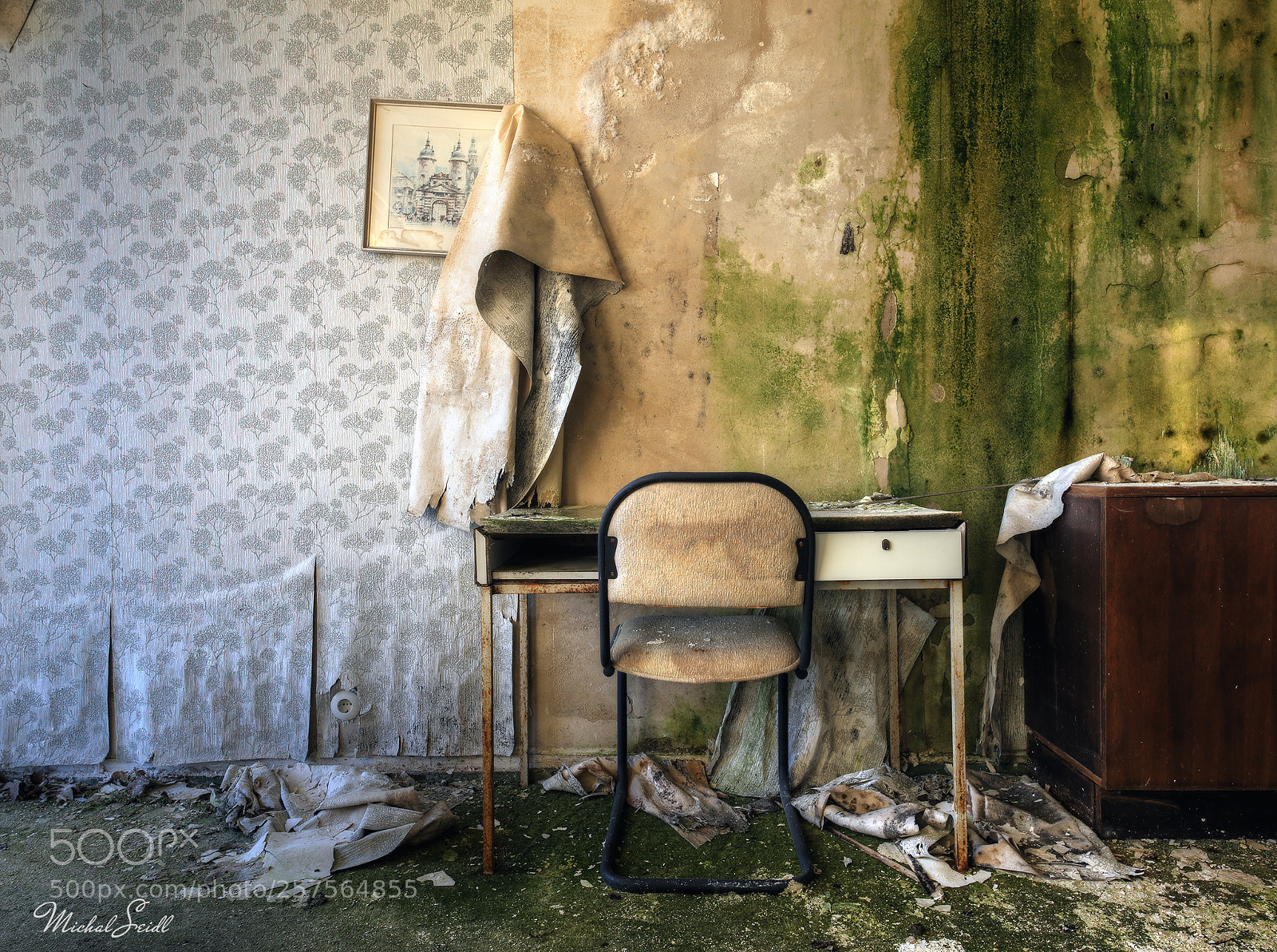 Canon EOS 6D sample photo. Bad wallpaper photography