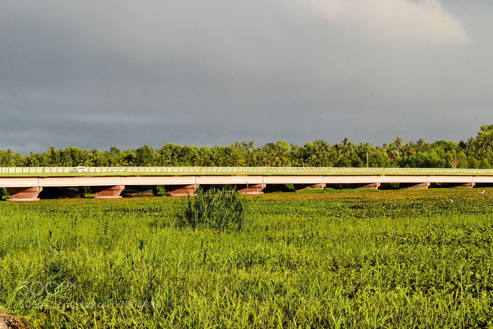Nikon D3100 sample photo. Akkulam bridge photography