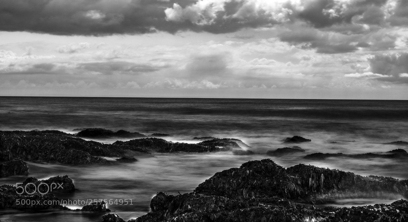 Nikon D500 sample photo. Untitled photography