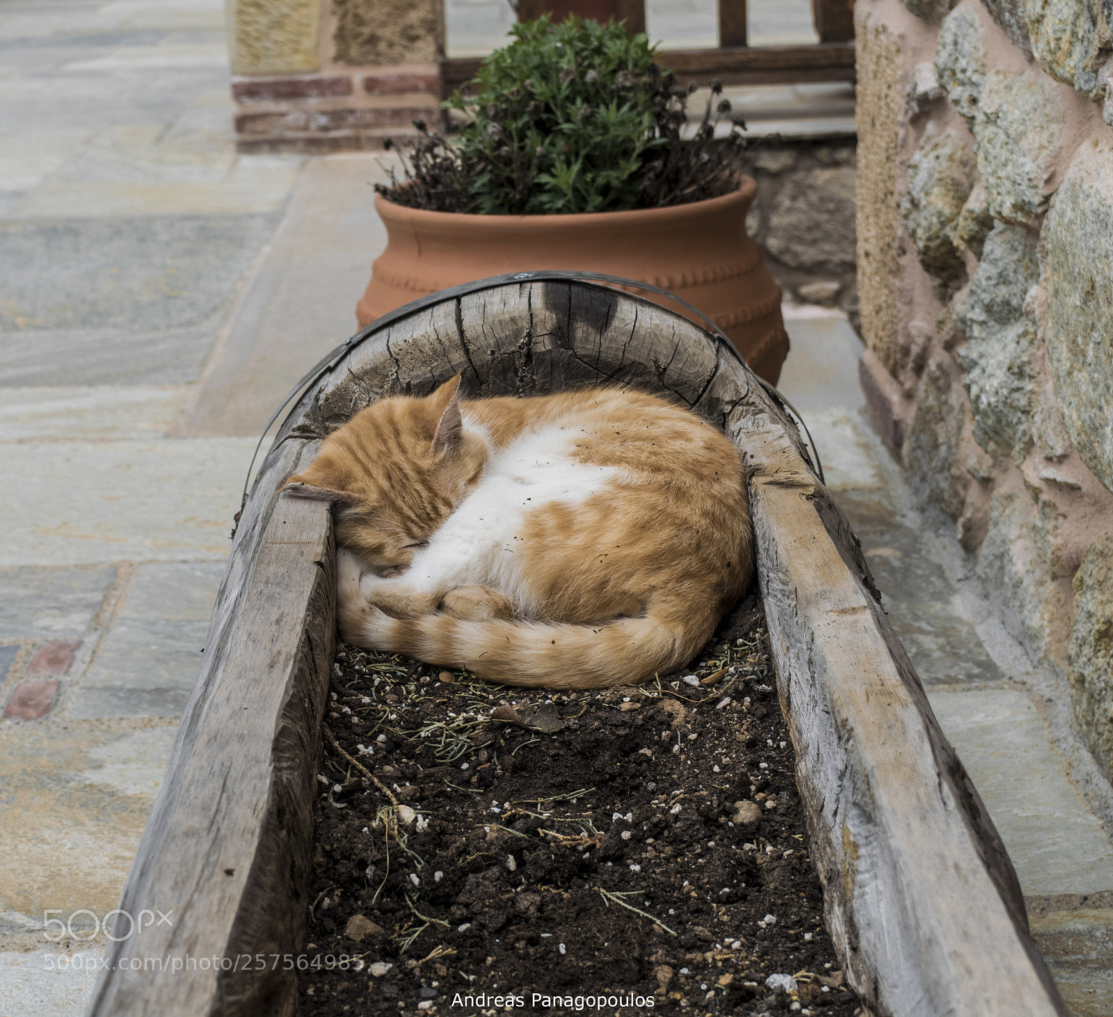 Nikon D3300 sample photo. Do not disturb photography