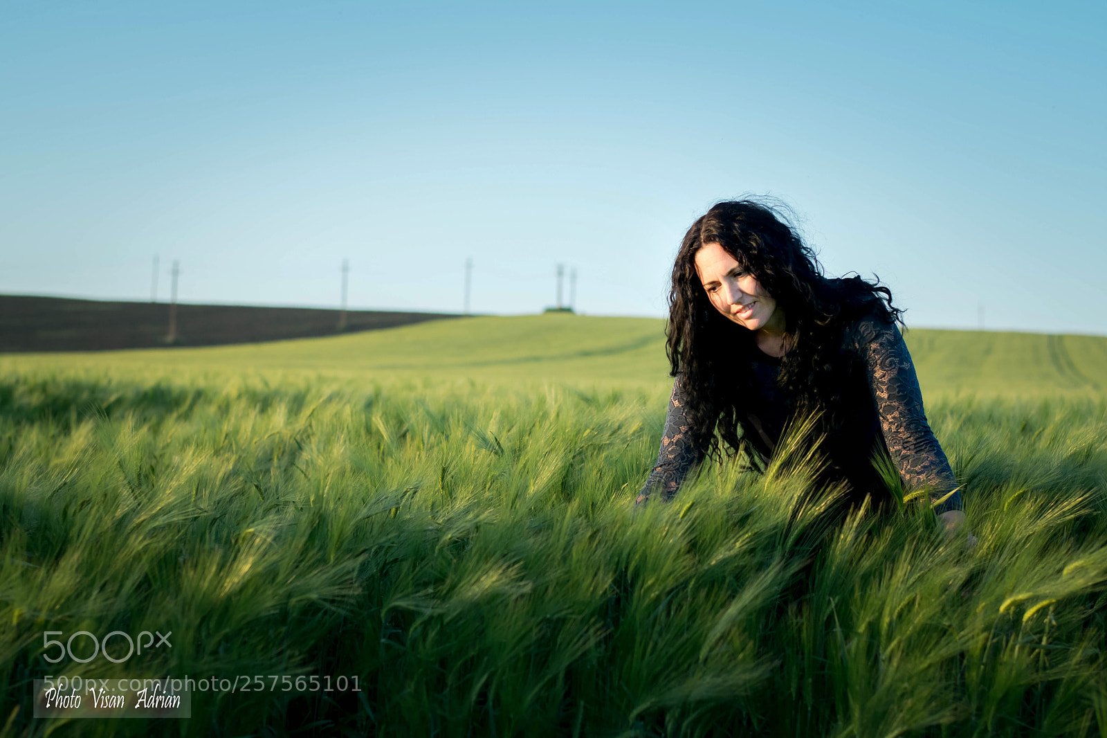 Nikon D3300 sample photo. Barley photography