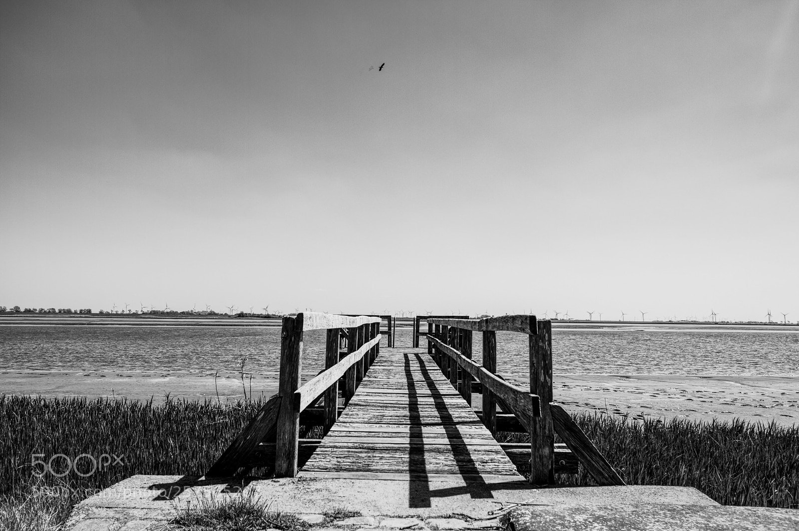 Canon EOS 7D sample photo. Lonely at the sea photography