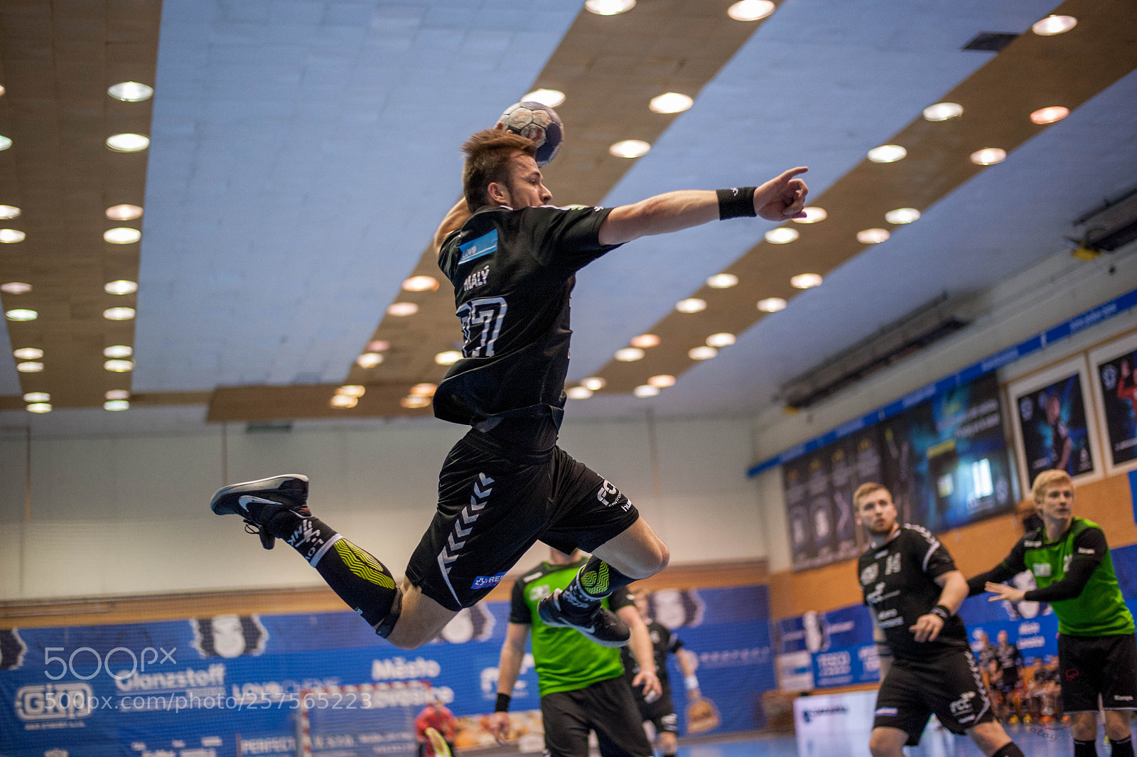 Nikon D700 sample photo. Handball player photography