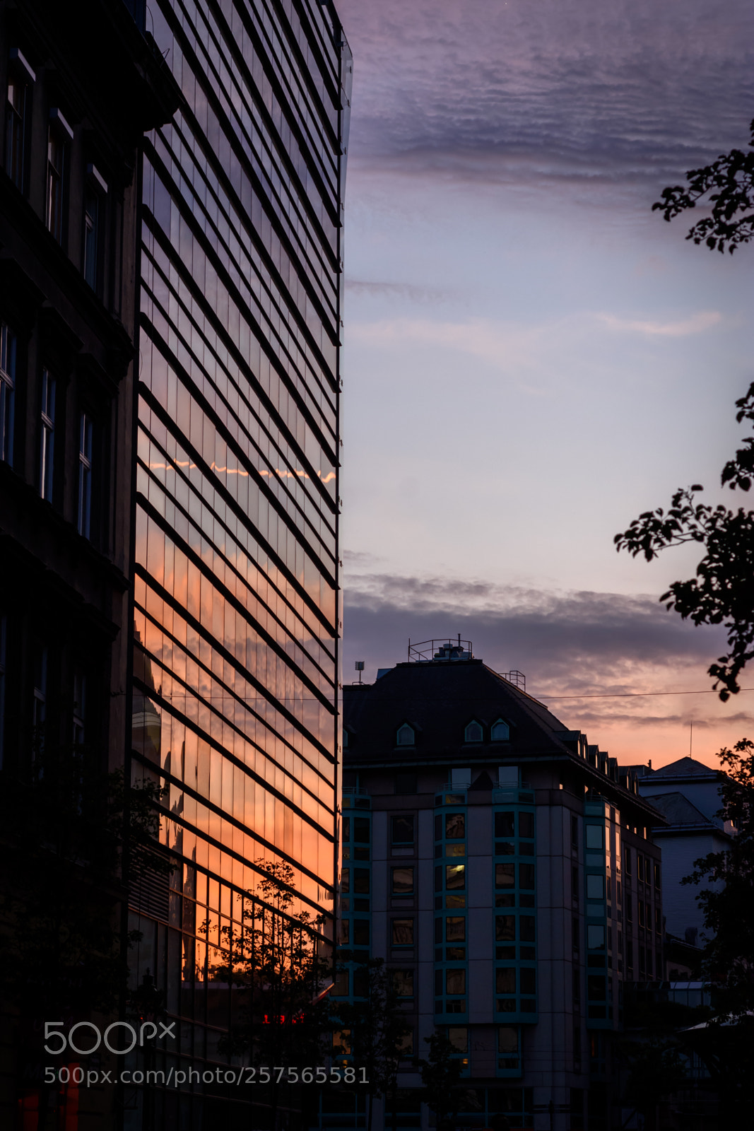 Nikon D7200 sample photo. Reflection photography