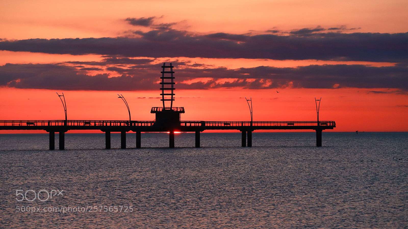Canon EOS 6D Mark II sample photo.   brant pier photography