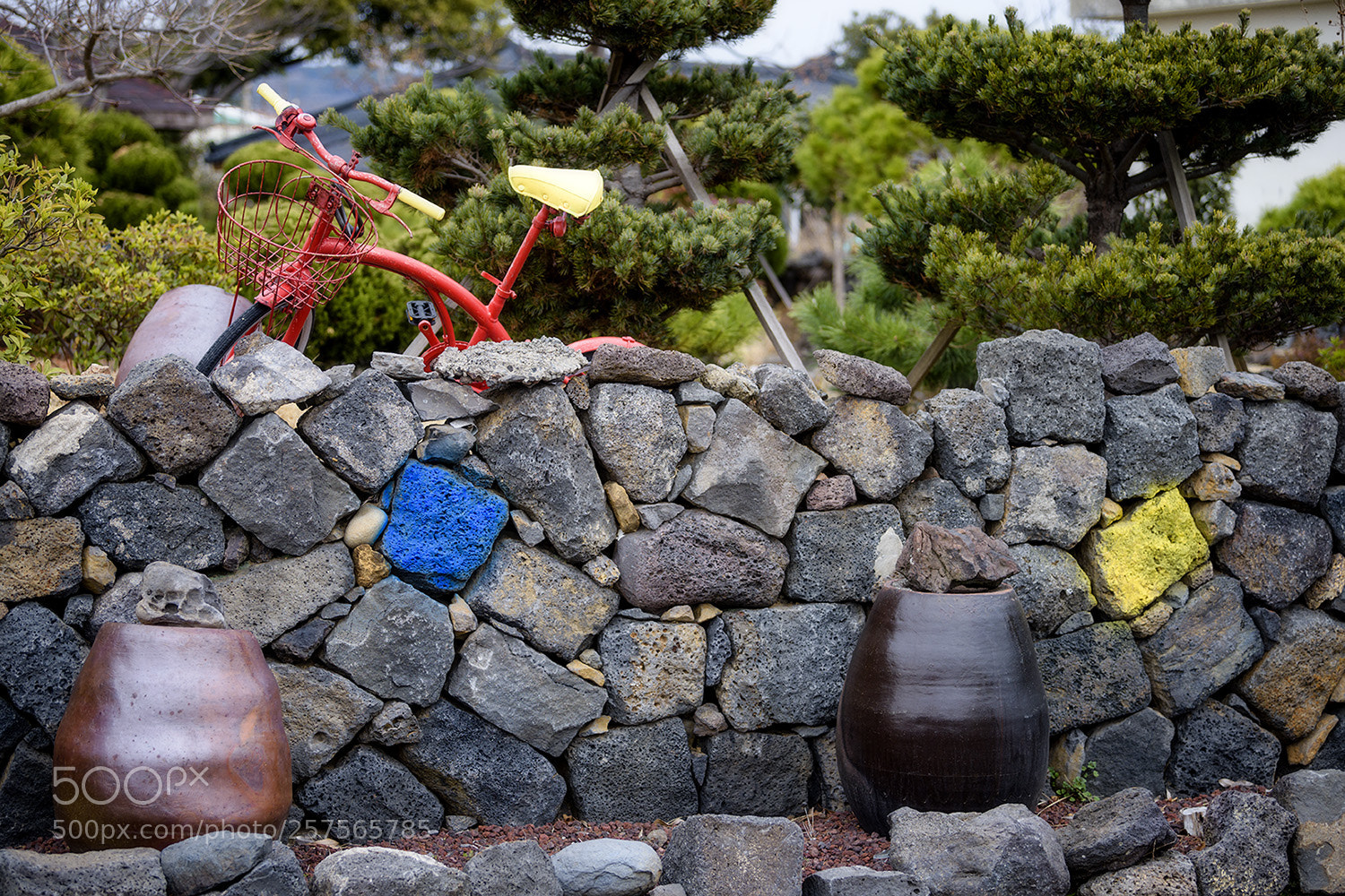Nikon D810 sample photo. Three primary colors photography