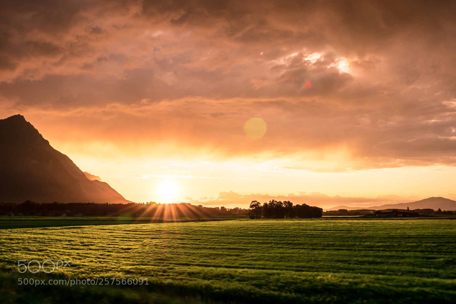 Panasonic Lumix DC-GH5 sample photo. Sunset over green field photography