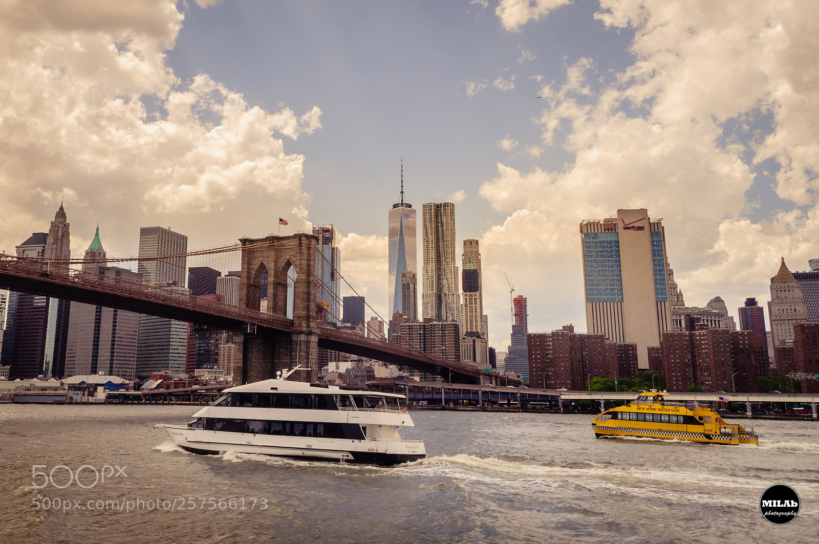 Nikon D5000 sample photo. The bridge photography