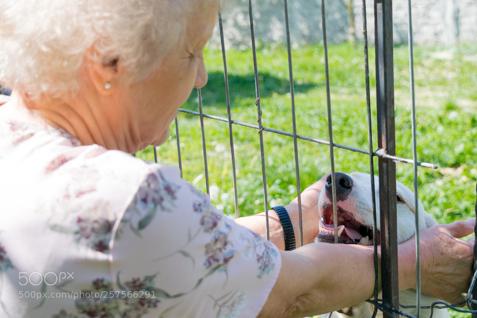 Nikon D3300 sample photo. Fenced off affection photography