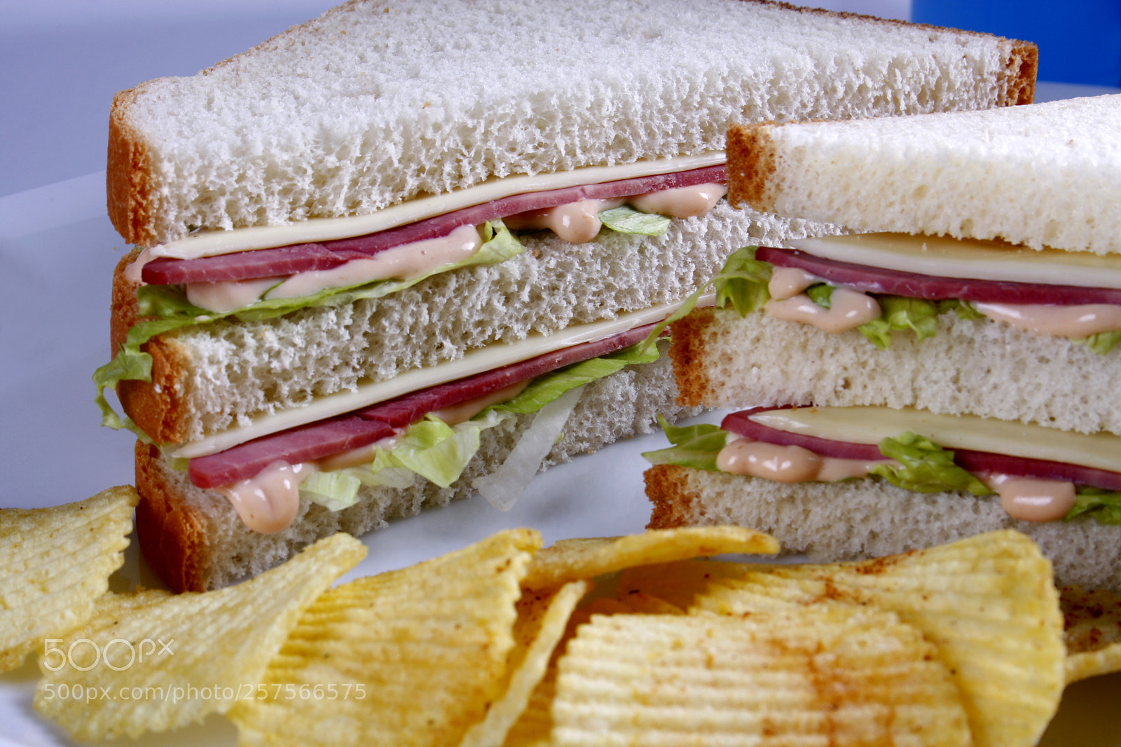 Canon EOS 40D sample photo. Cold turkey meat photography