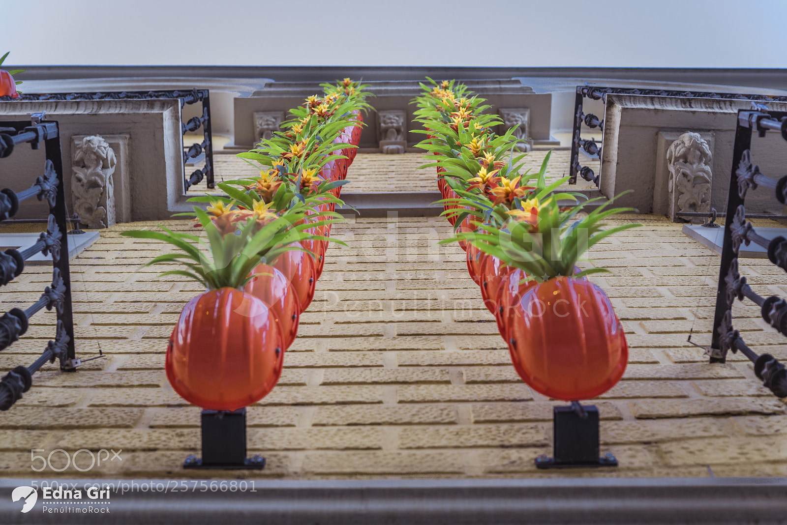 Nikon D750 sample photo. Temps de flors 2018 photography