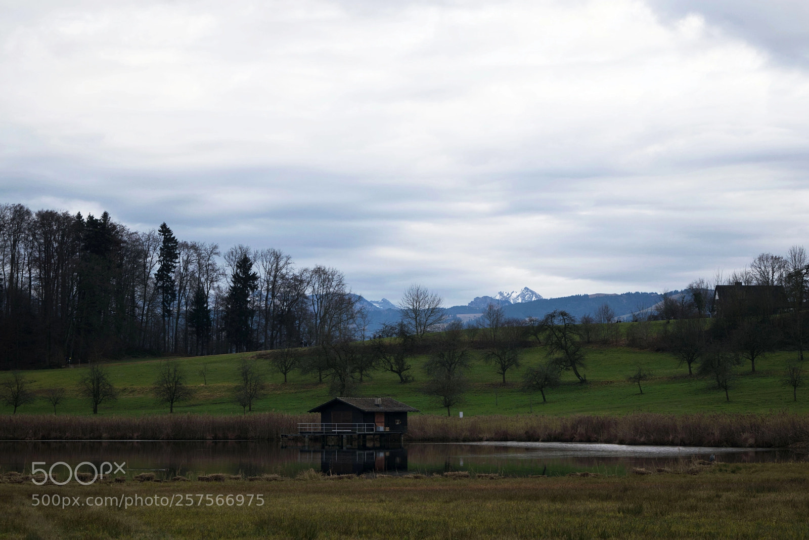 Nikon D3300 sample photo. The lake house in photography