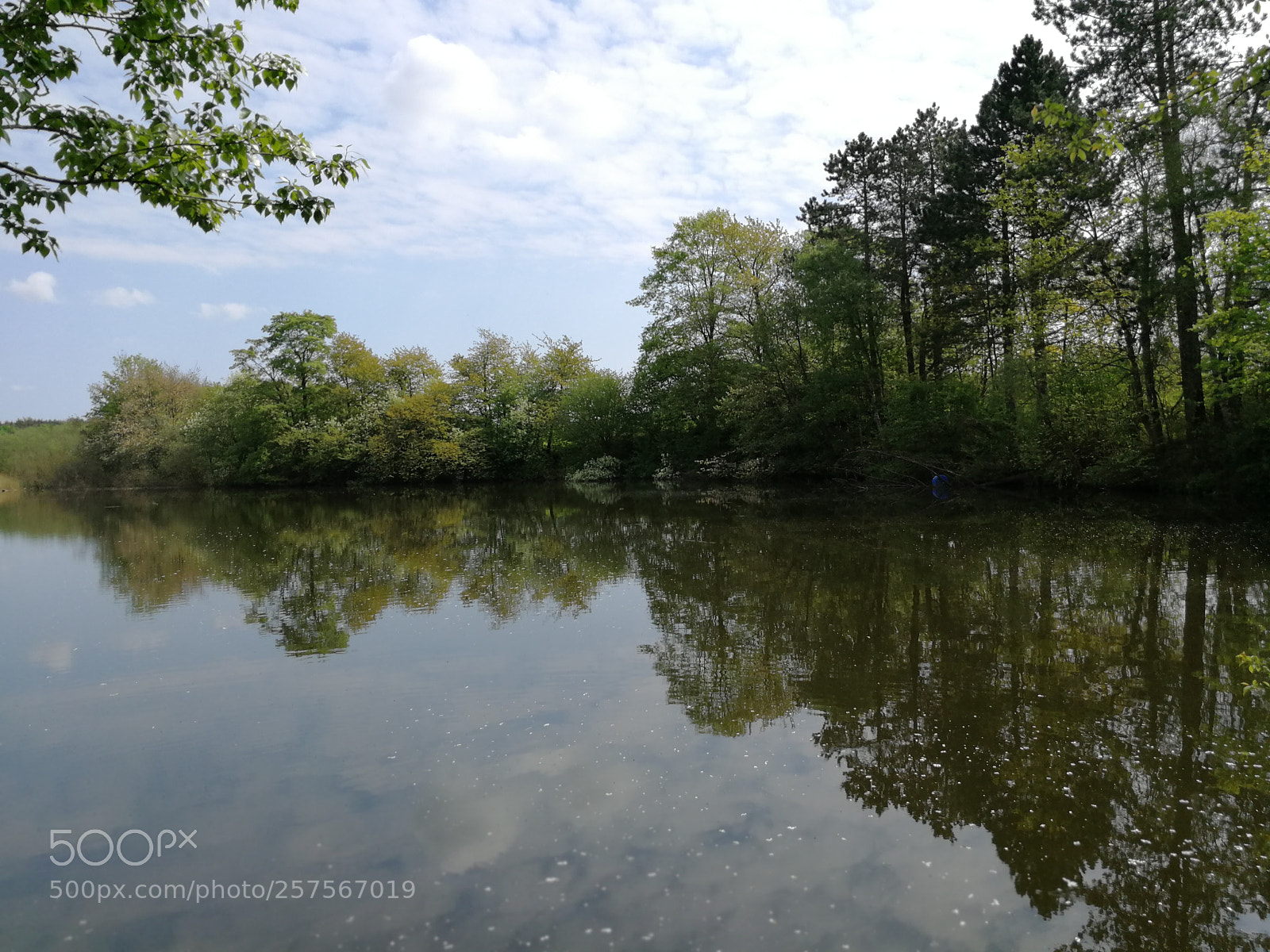 HUAWEI P10 sample photo. Untitled photography