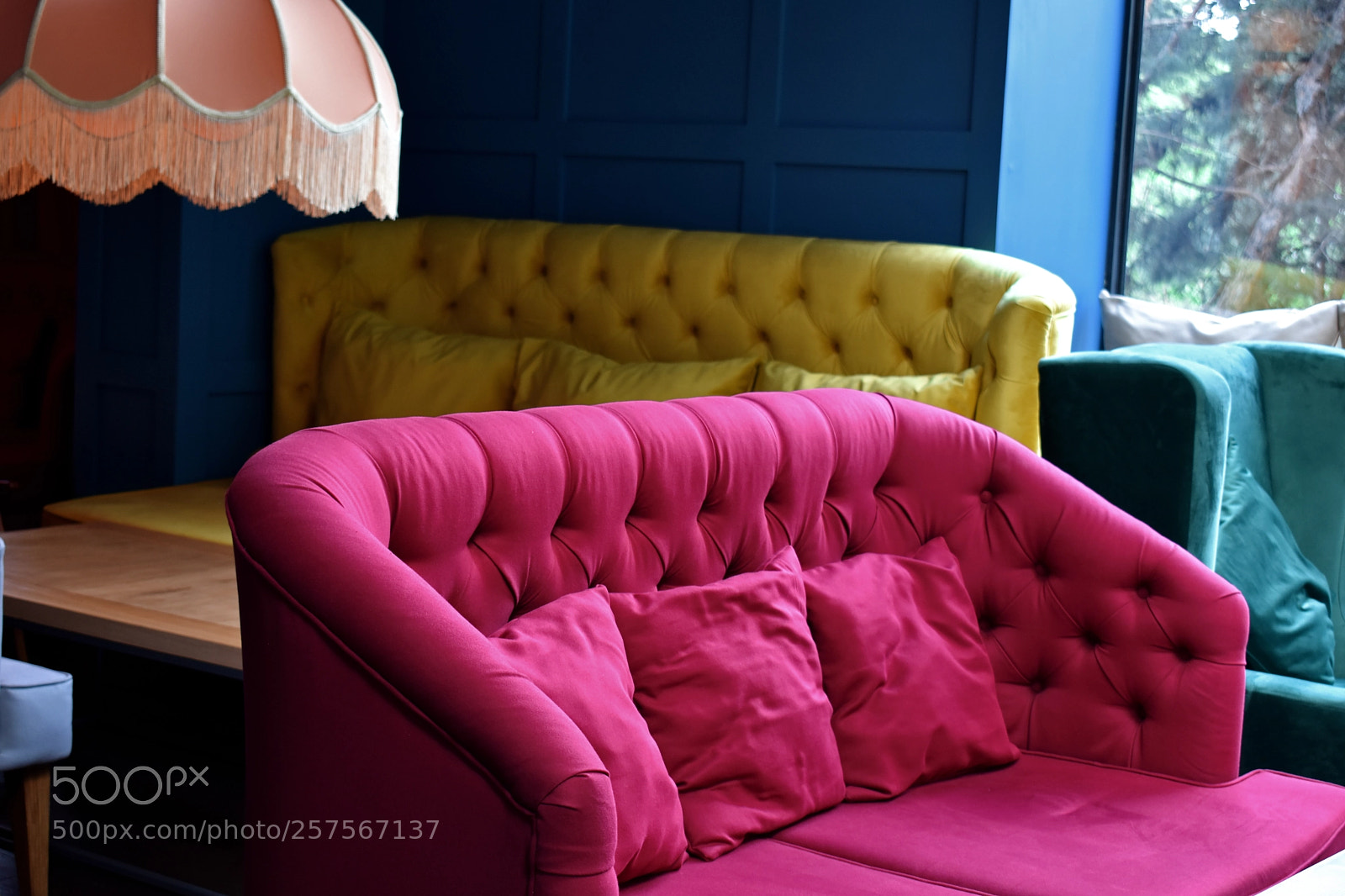 Nikon D3400 sample photo. • pink photography