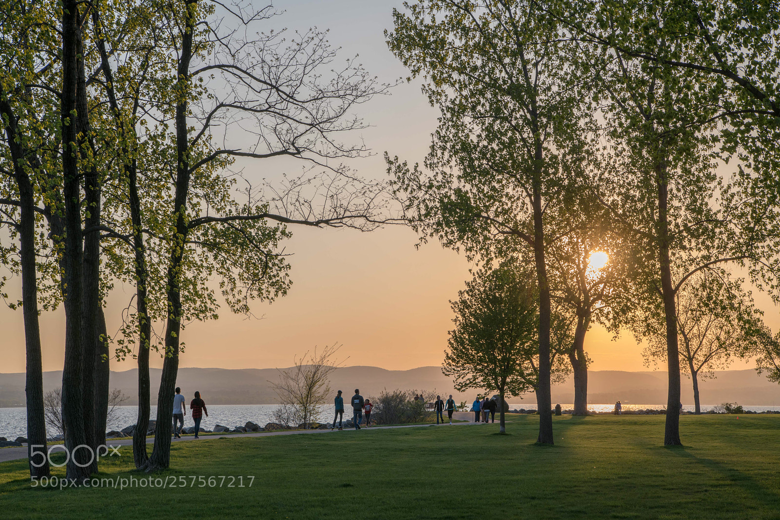 Nikon D850 sample photo. Spring evening on hudson  photography