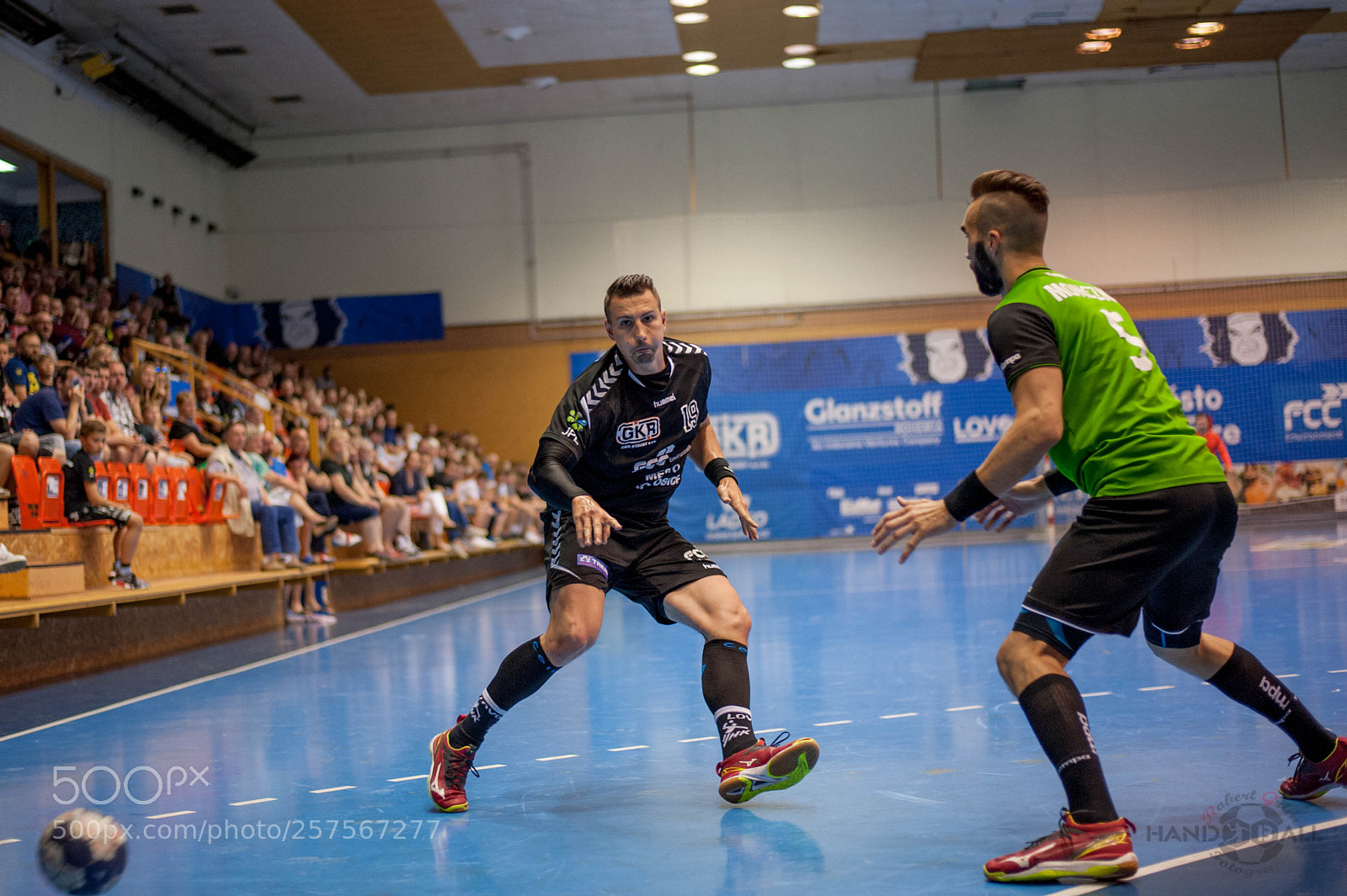 Nikon D700 sample photo. Handball photography
