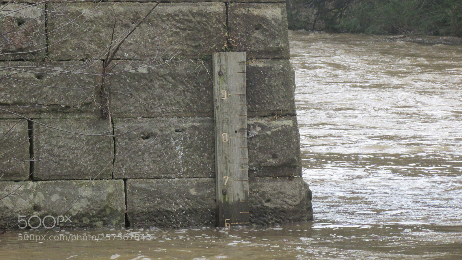 Canon PowerShot SX500 IS sample photo. That's how high beaver photography