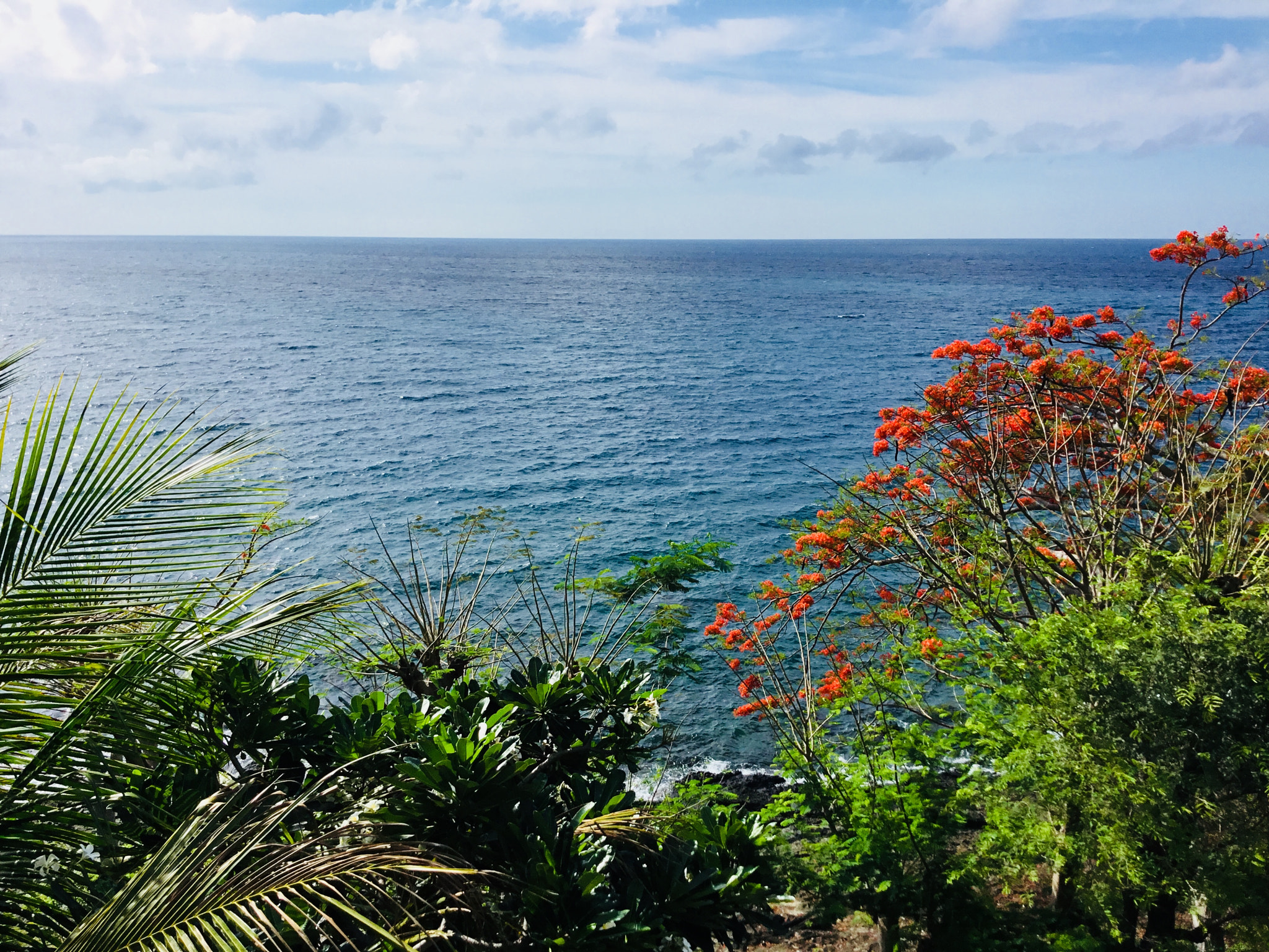 Apple iPad (5th generation) sample photo. Ocean breeze photography