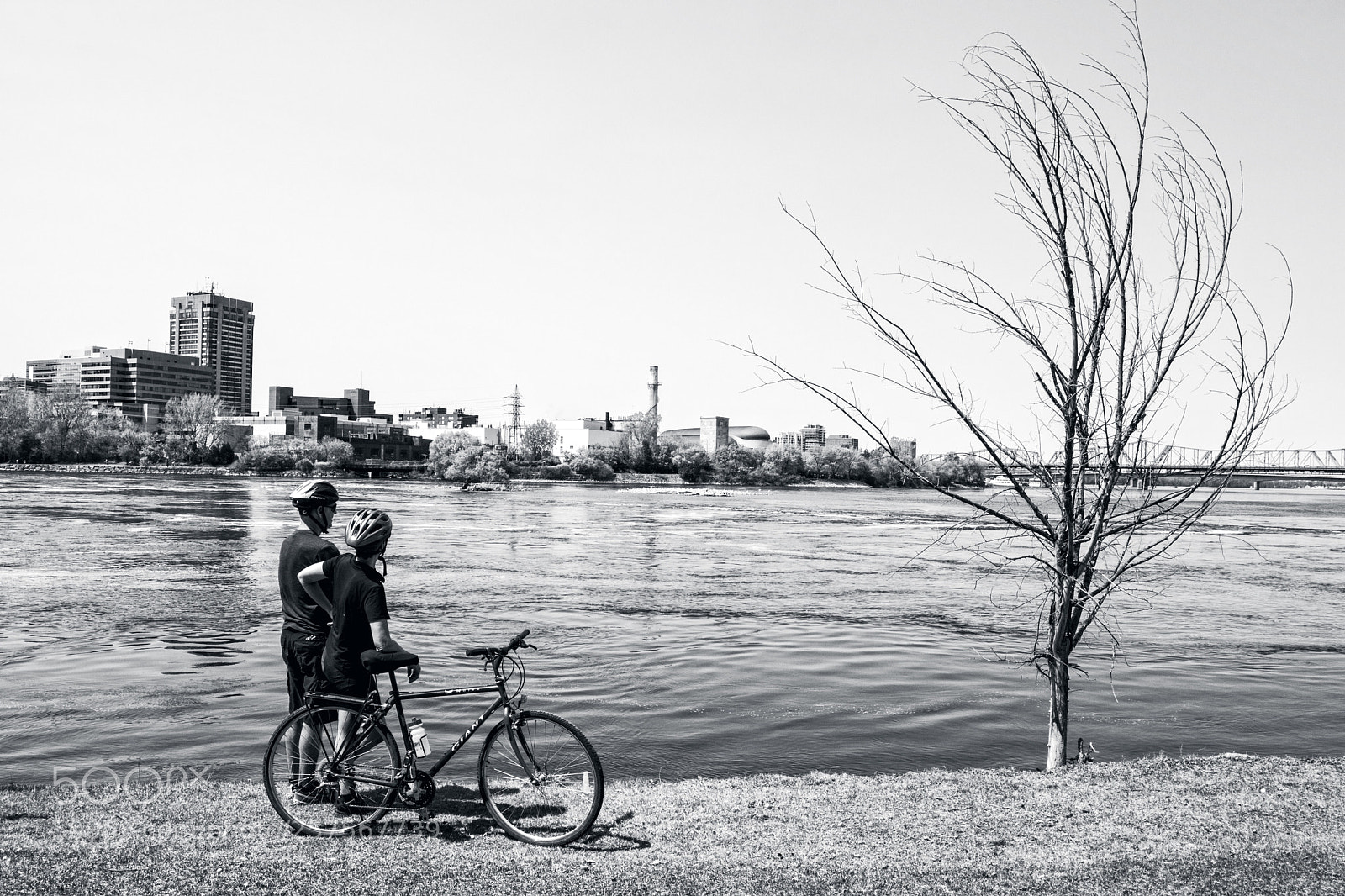 Nikon D5200 sample photo.  envious, ottawa photography