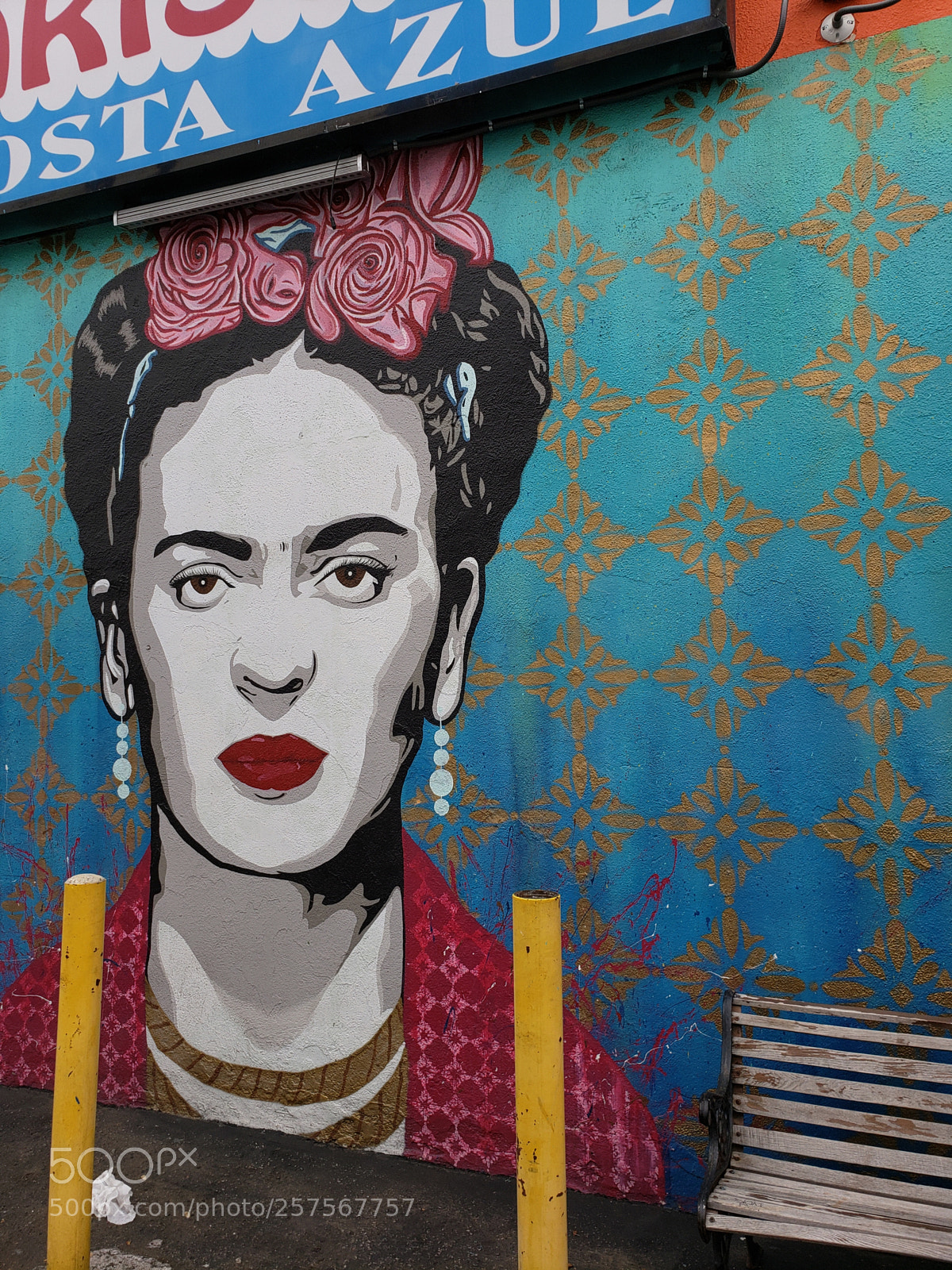 Samsung Galaxy S9+ sample photo. Frida kahlo_151446.jpg photography