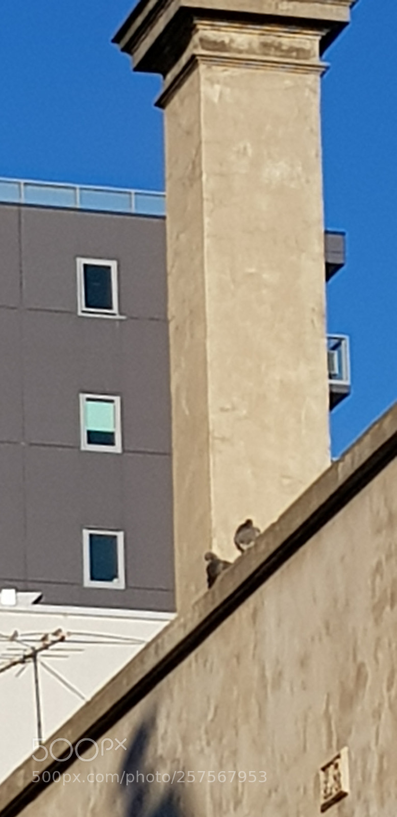 Samsung Galaxy S8 sample photo. Urban beauty photography