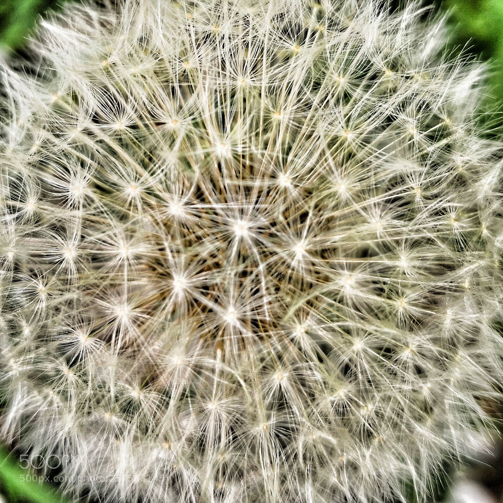 HUAWEI Mate 10 Pro sample photo. Untitled photography