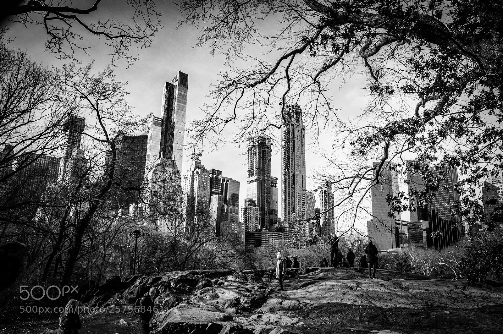 Nikon D90 sample photo. Skyline photography
