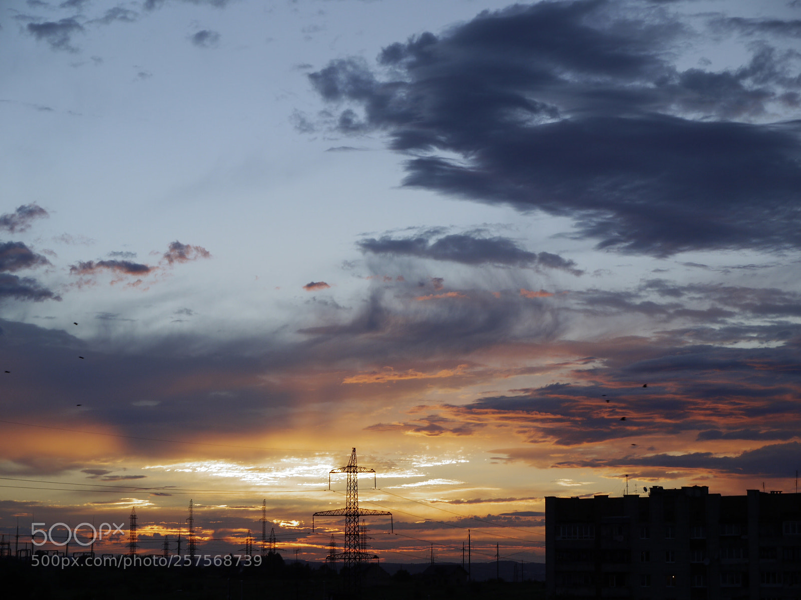 Panasonic Lumix DMC-G1 sample photo. Raven's time photography