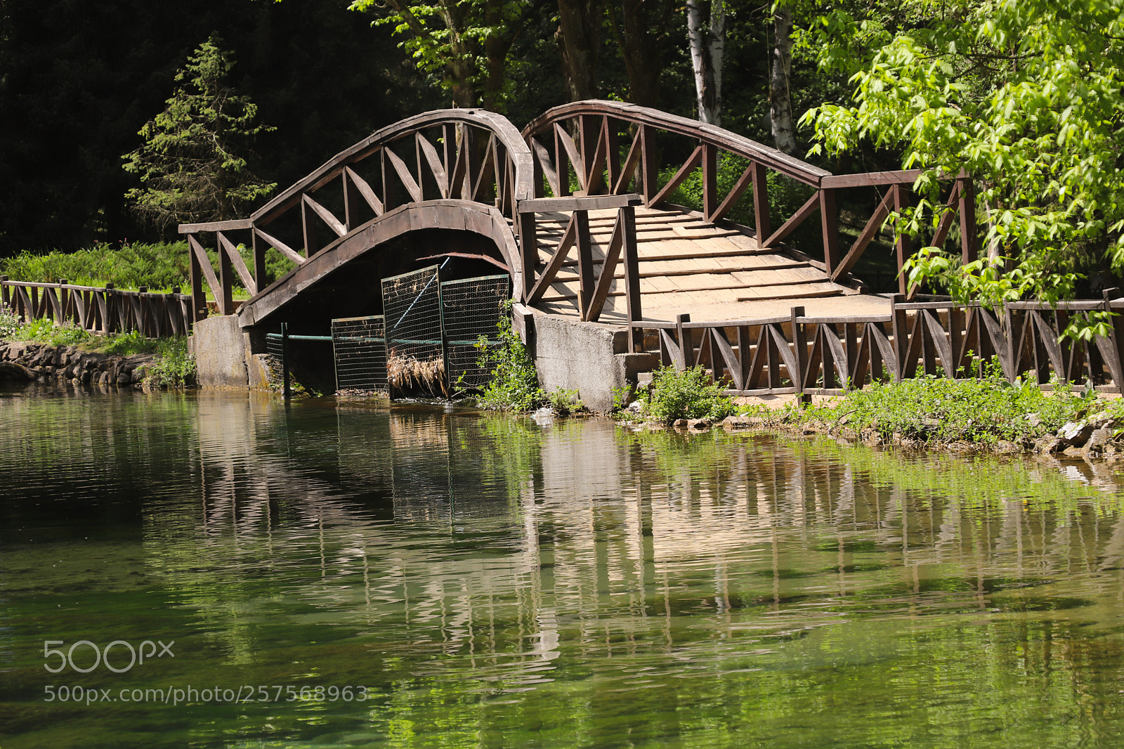 Canon EOS 200D (EOS Rebel SL2 / EOS Kiss X9) sample photo. Wooden bridge photography