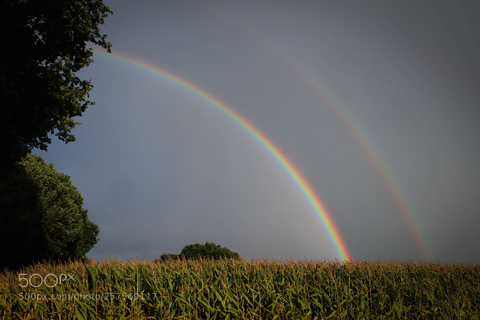 Canon EOS 100D (EOS Rebel SL1 / EOS Kiss X7) sample photo. Twin rainbows photography