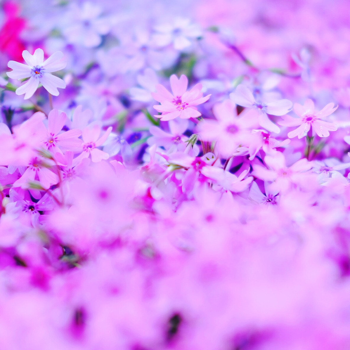 Fujifilm X-A1 sample photo