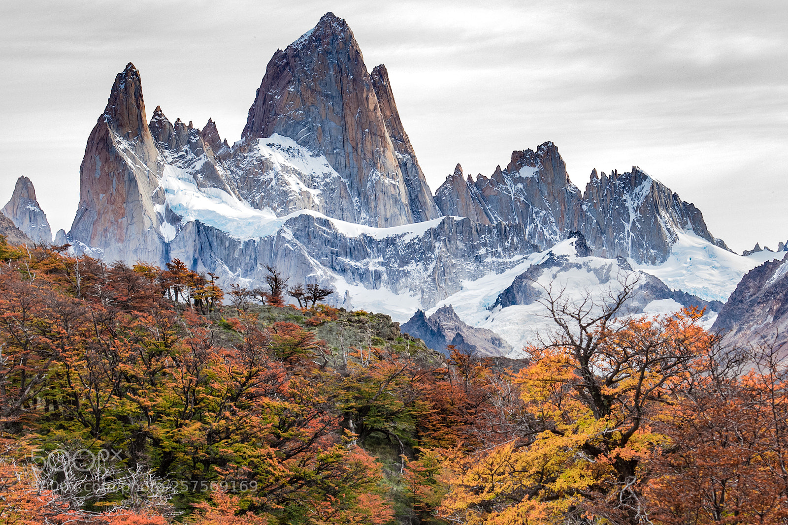 Nikon D5300 sample photo. Fitz roy in fall photography