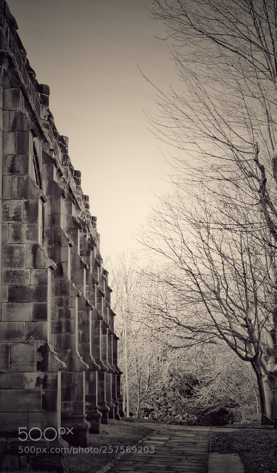 Nikon D3300 sample photo. Churchyard photography