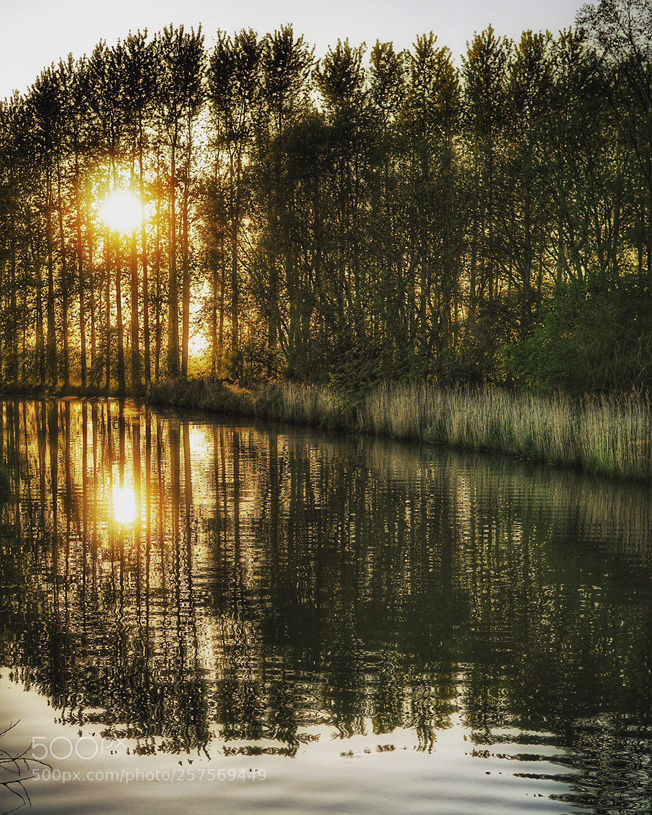 Sony a6300 sample photo. Mothman river photography