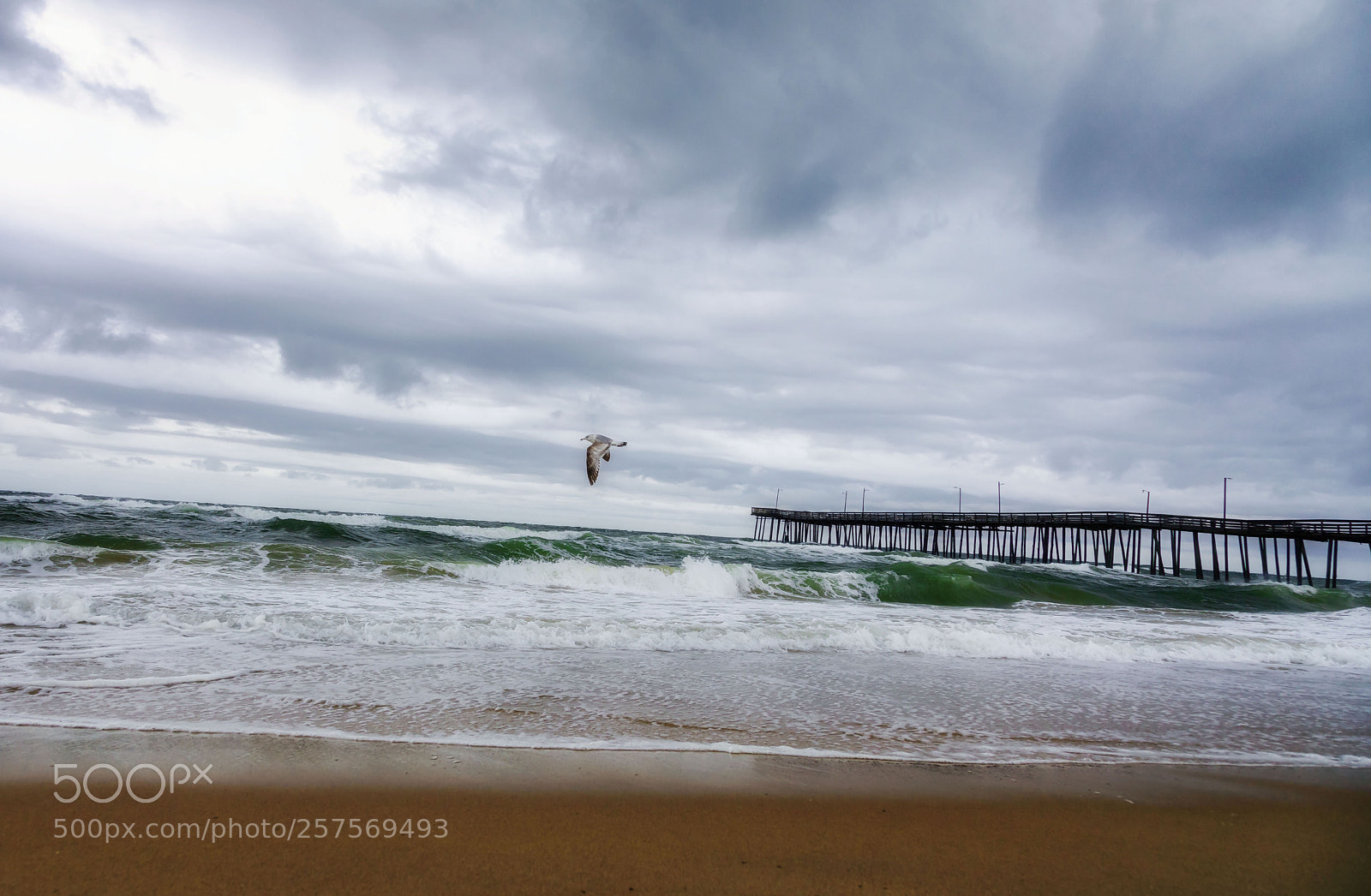 Canon EOS 5D Mark IV sample photo. Against the wind photography