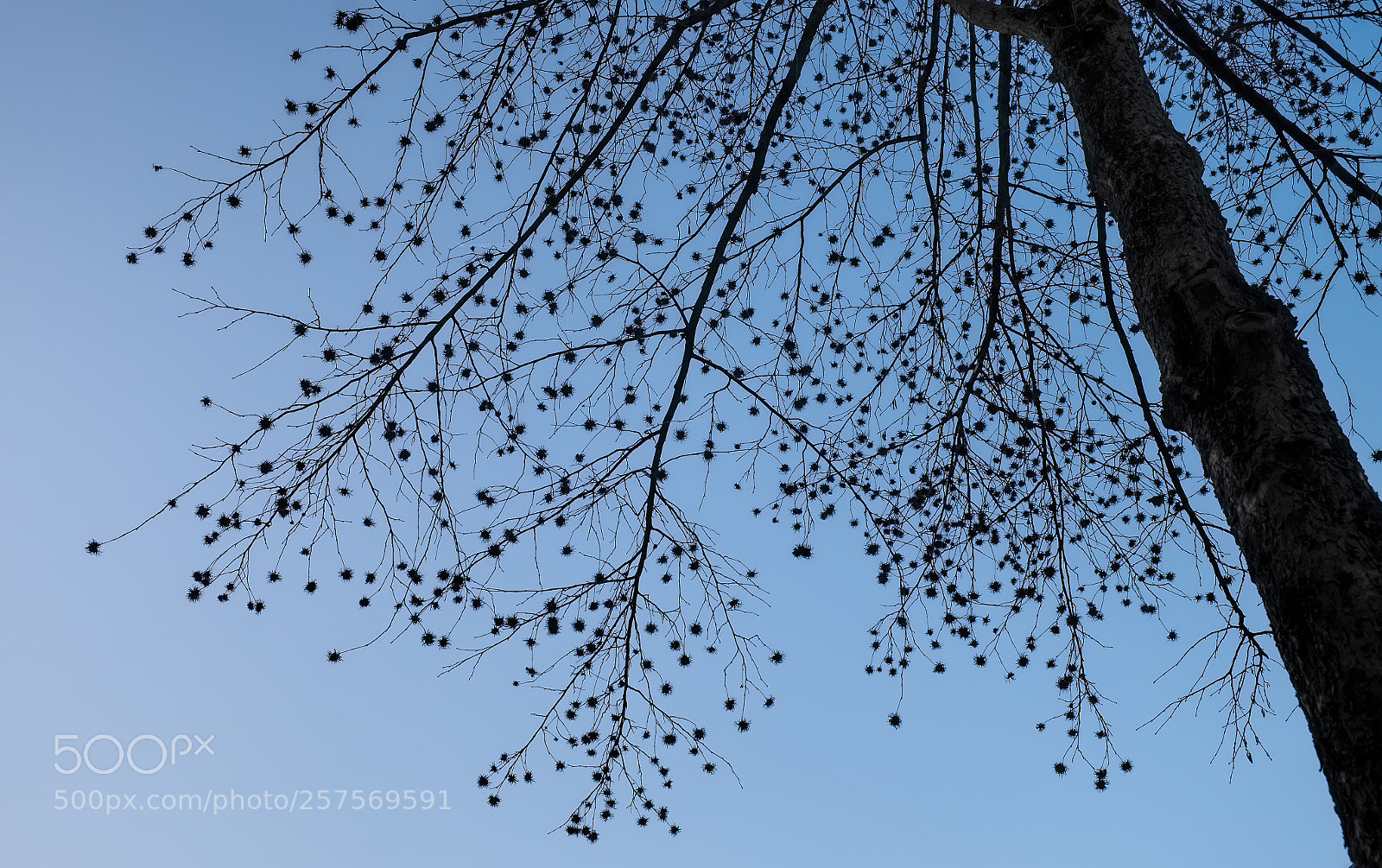 Fujifilm X-T1 sample photo. Simplement photography