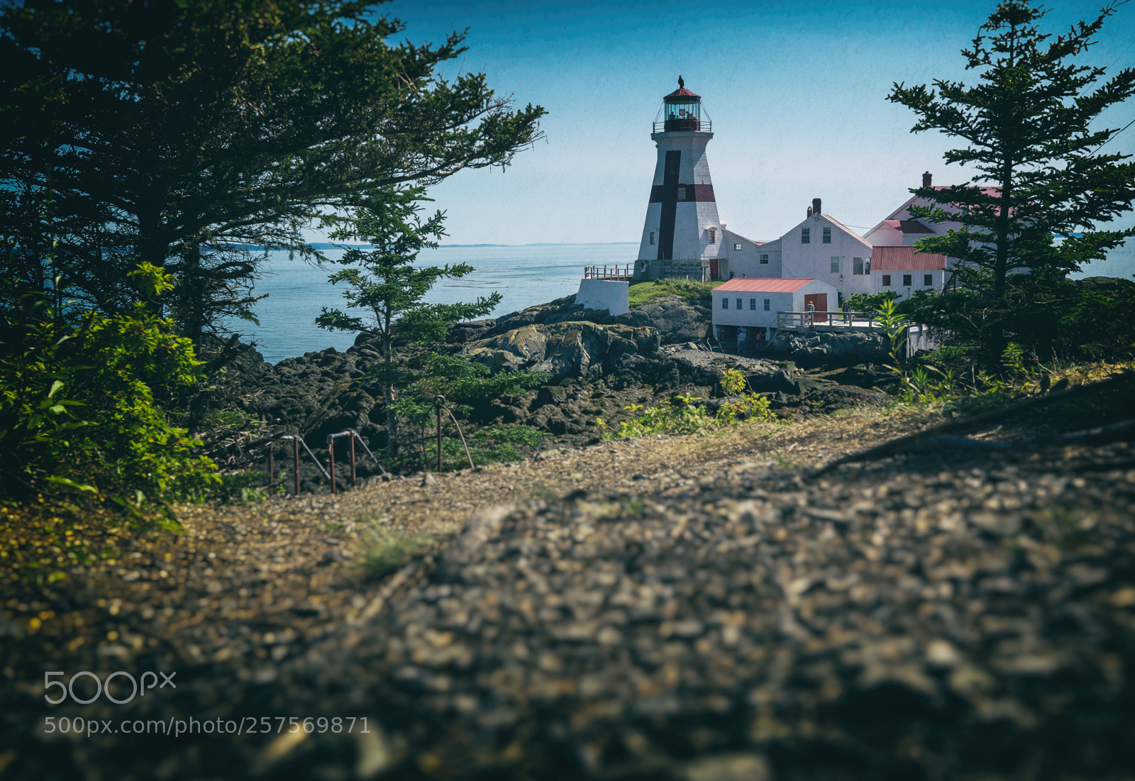 Canon EOS 5D Mark IV sample photo. East quoddy head lighthouse photography