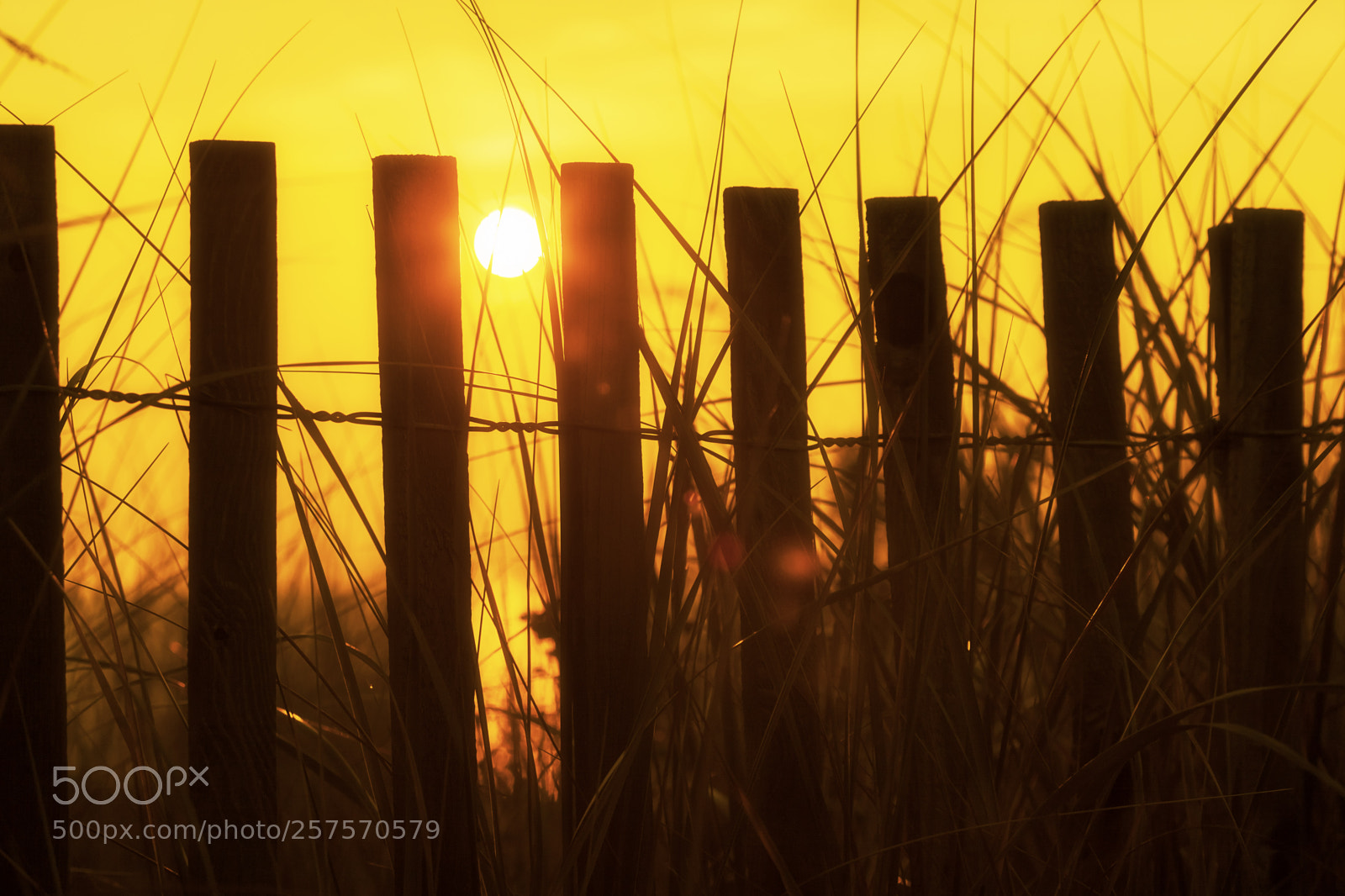 Canon EOS 5D Mark II sample photo. Ocean warmth photography