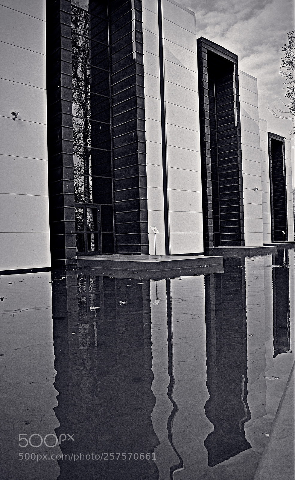 Nikon D3200 sample photo. Reflection photography