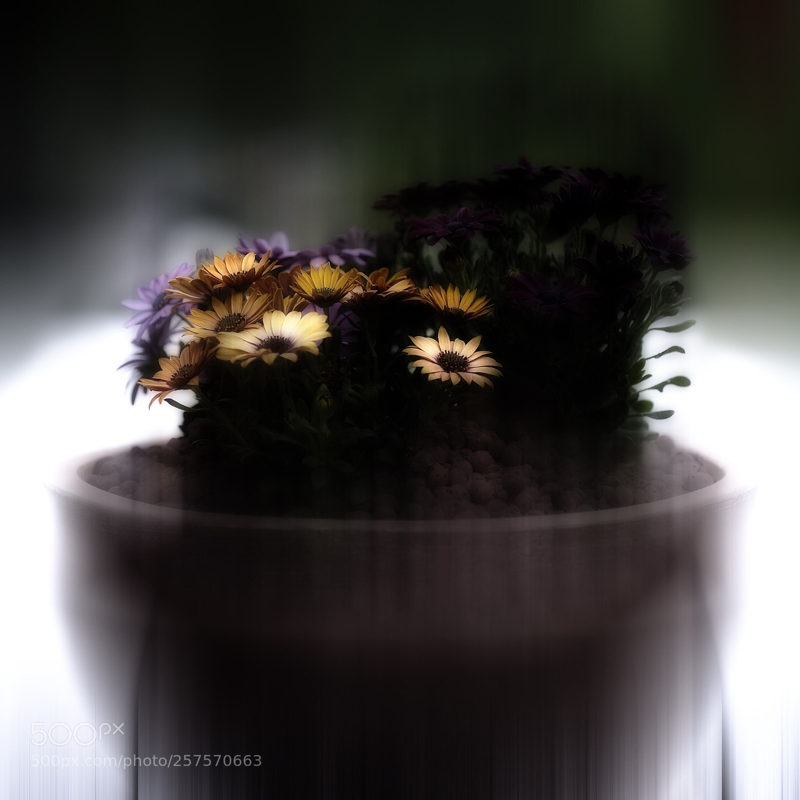 Nikon D3 sample photo. Onlycolors serie photography