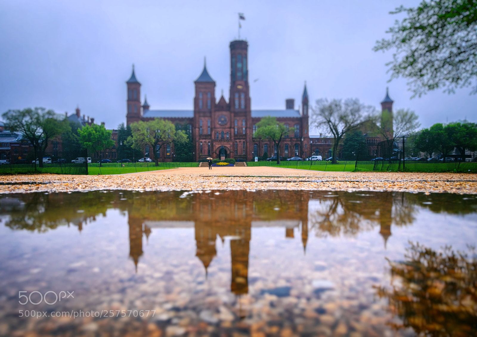 Canon EOS 5D Mark IV sample photo. Reflections on the mall photography