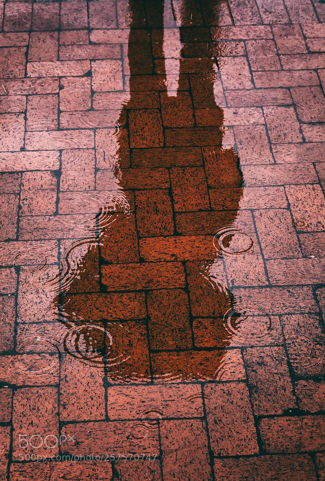 Canon EOS 5D Mark IV sample photo. Ripples photography