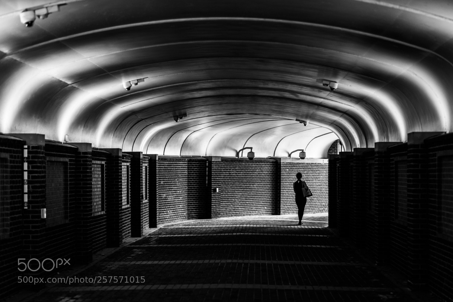 Nikon D810 sample photo. Through the tunnel photography