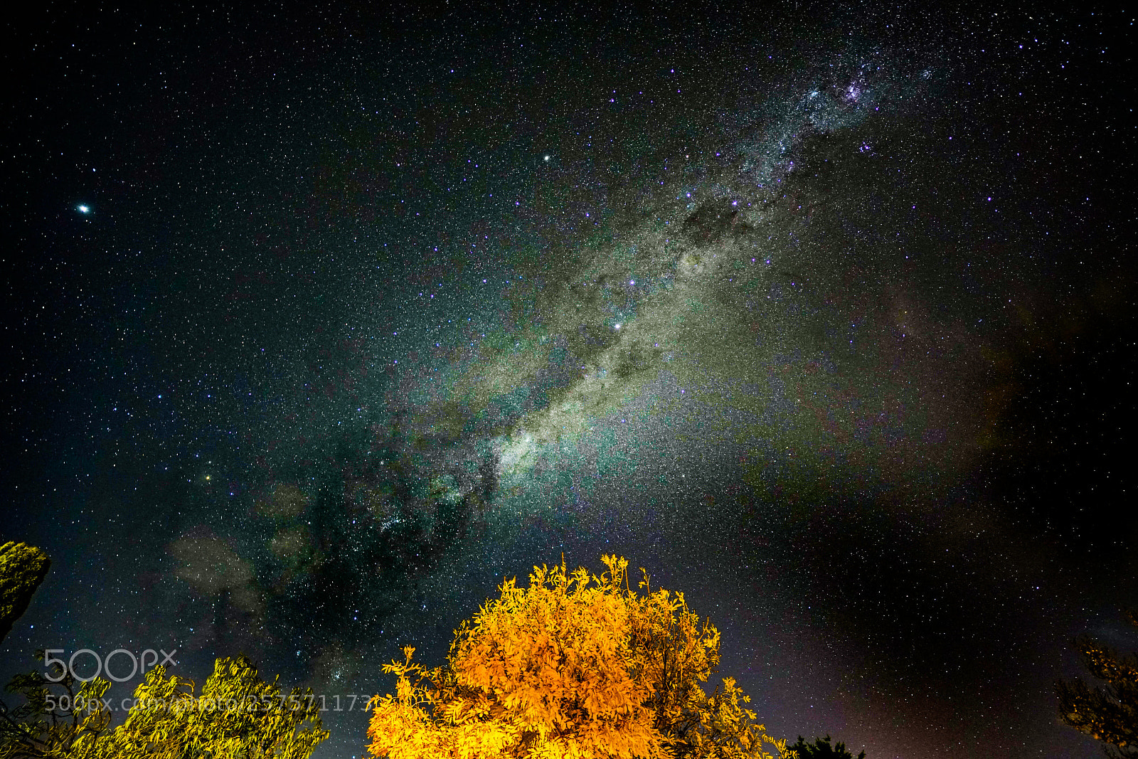 Sony a7R II sample photo. Backyard stars photography