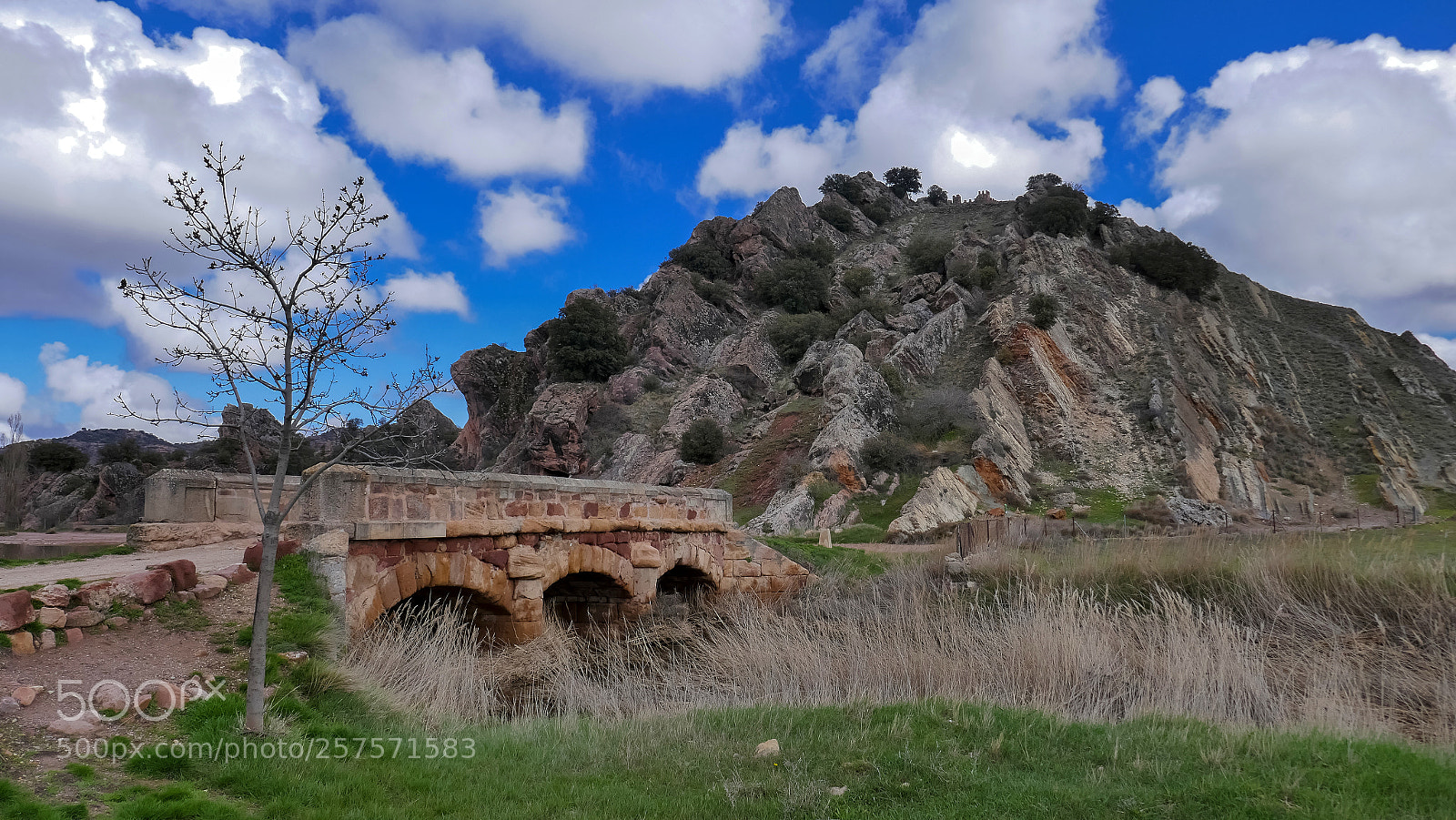 Panasonic Lumix DMC-ZS100 (Lumix DMC-TZ100) sample photo. Puente salado photography
